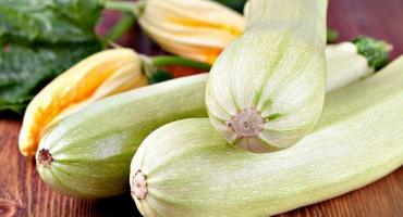 Mám dávat cuketu králíkům?